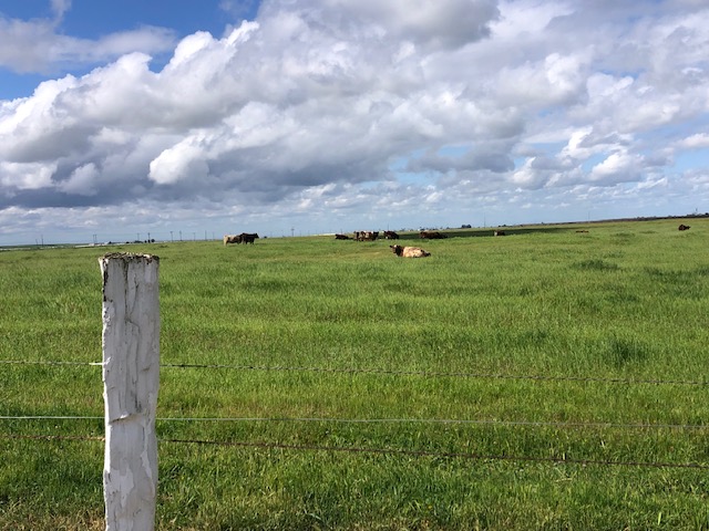 IMG_3132 Bennet Land & Cattle