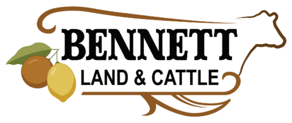 Bennett Land and Cattle